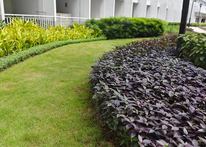 Aparthotel Shell Residences Moa Staycation By Jeric Manilla